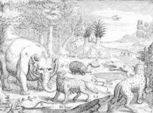 Abbildung allerlei wilder Tiere, die in Guinea gefunden werden - Buchseite aus de Bry, India II
