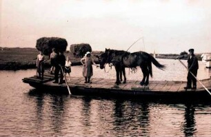 Worpswede: Mit Pferd auf Fähre der Hamme