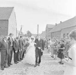 Spalier für Hochzeitspaar der LPG "W. I. Lenin" Marzahna