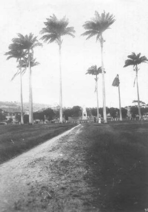 Fort de France, Martinique. La placa de la Sarane im Hafenviertel mit Jospehinenmonument (um 1910) unter Palmen