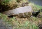 Heide (Kreis Dithmarschen): Hochfeld: Grenzstein