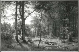 Waldlandschaft : Waldlandschaft, Öl auf Leinwand (Fritz Ebel, 1894)