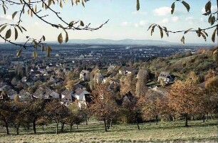 Freiburg i. Br.: Von der Eichhalde auf Herbstbäume in Richtung Kaiserstuhl