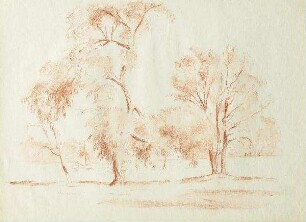 Bäume an Flusslandschaft