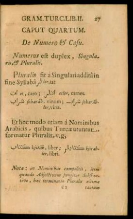 Caput Quartum. De Numero & Casu.