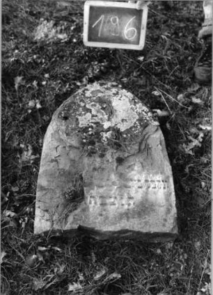 Grabstein 196 (Index: 100090524) Material: Sandstein Zustand: beschäd/abgeblätt/fast völliger Textverl Maße HxBxT: 75x49x0 cm Beschreibung: Stele, Spitzbogenabschluß: Grabstein 196
