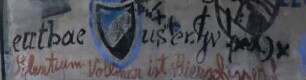 Raum 209 Südwand 21