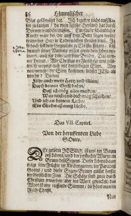 Das VII. Capitel. Von der beruffenden Liebe Gottes.