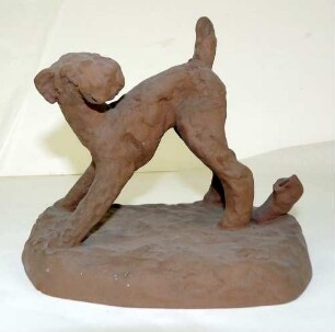Terrier (Seriennummer: 4351)