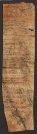 Missale (Fragment) - BSB Clm 29311(20