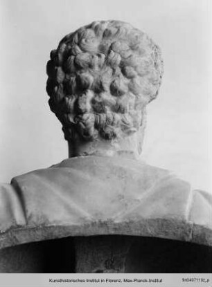 Kaiser Septimius Severus (Kopf auf nicht zugehöriger Büste) : Kaiser Septimius Severus (Kopf)