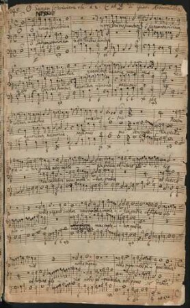 O sacrum convivium; V (2), bc; g-Moll