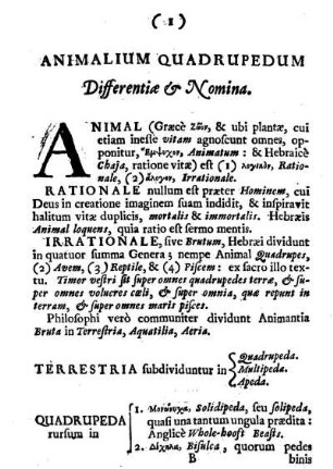 Animalium Quadrupedum