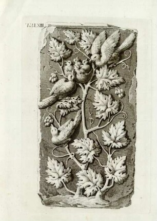 Tab. LXIII.