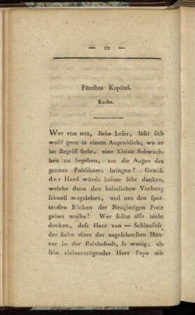 Fünftes Kapitel. Rache.