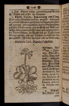126-137, Auricula Ursi - Bdellium