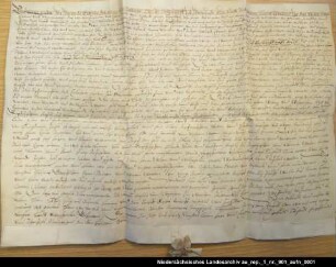 Gräfin Walburg von Rietberg leiht von Statius von Vischbeck 2000 Joachimstaler Vorbereitete Ausfertigung Anhängendes Siegel verloren