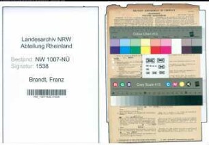 Entnazifizierung Franz Brandt , geb. 21.03.1900 (Dachdecker)