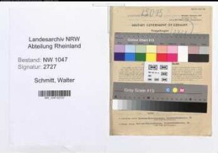 Entnazifizierung Walter Schmitt , geb. 12.07.1899 (Lehrer)