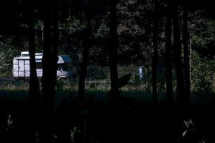 Besuch im Wald
