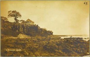Haus an der Küste (Hamburger Südsee-Expedition 1908-1910)