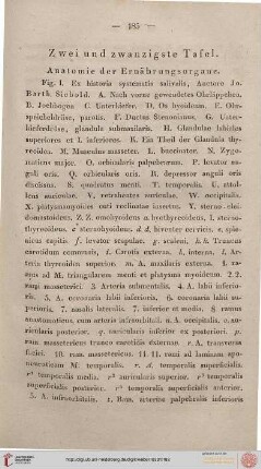 Zwei und zwanzigste Tafel [Anatomie der Ernährungsorgane]