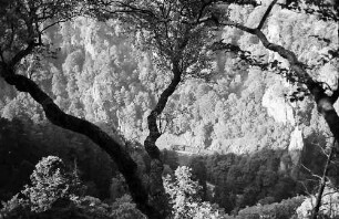 Blick vom Hirschsprung ins Höllental