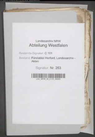 Voten der persönlich nicht anwesenden Kanonissen für die Wahl einer Koadjutorin bzw. der Dechantin