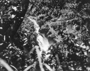 Wasserfall : Blick auf den Wasserfall eines Baches an der Cerro de Cocamela