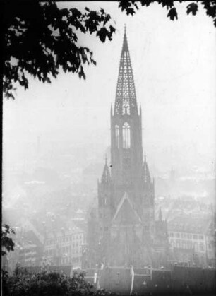 Der Freiburger Münsterturm