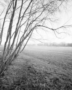 Barnitz/Elbe, Wendland, Deutschland, 2003