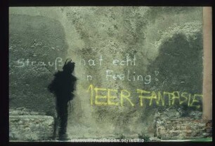 Strauß hat echt in Feeling! | MEER FANTASIE