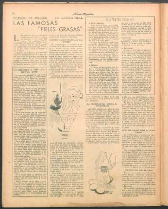 Las famosas "Pieles Grasas" : Código de belleza