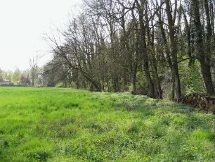 Reste des Gebücks; Walluf, Walluf, Paradies, Mühlstraße 98, Mühlstraße 6a, Mühlstraße 42, Mühlstraße 40a, Mühlstraße 16, Lohwiesen, Kalbswiese, Im Paradies, Haselnußgasse 9, Haselnußgasse, Bommensaal 4. Gewann, Bommensaal 3. Gewann, Bommensaal 2. Gewann, Bommensaal 1. Gewann, Bommensaal