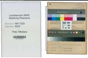 Entnazifizierung Nikolaus Thiel , geb. 18.08.1901 (Werkmeister)