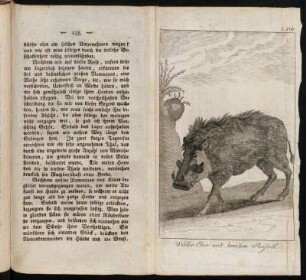 T. XVII. Wilder Eber mit breitem Rüssel