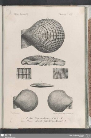 Pl. 432