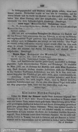 Kleinere Mittheilungen