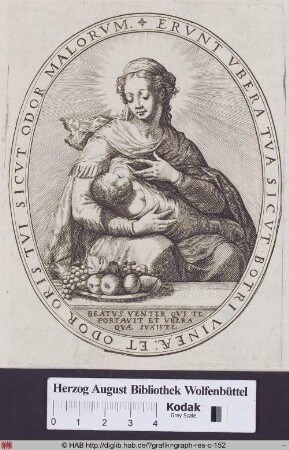 Maria Lactans mit Fruchtschale im Vordergrund.