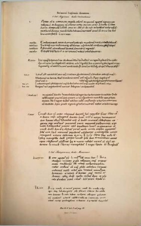 Schrifttafeln zum Gebrauch bei diplomatischen Vorlesungen : Handschriften, 3. Die Tafeln des fünften und sechsten Scriptoren-Bandes der Monumenta Germaniae