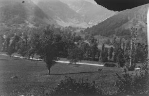 Bergpanorama : Blick auf Waldflächen an den Berghängen und auf einzelnen Baumbestand im Tal auf Wiesengrund