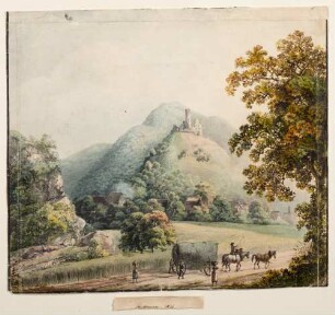 Blick auf Schriesheim und Strahlenburg