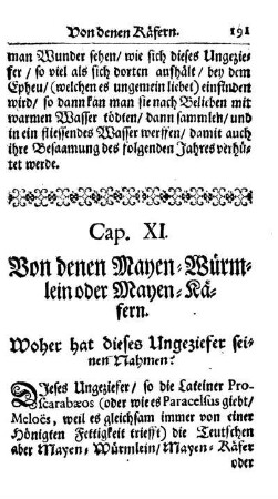 Cap. XI. Von denen Mayen-Würmlein oder Mayen-Käfern.