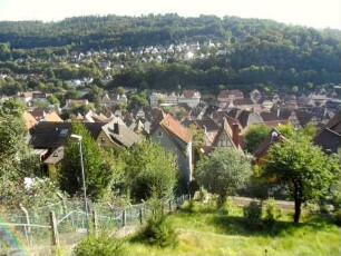 Stadtbild-Ansicht im Osten (von Westen aus dem Zwinger) mit Stadt sowie Nagoldtal in Übersicht