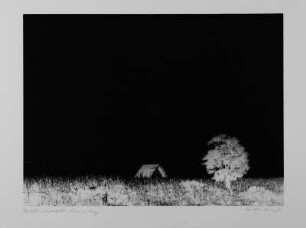 Boddenlandschaft Ahrenshoop : Boddenlandschaft Ahrenshoop. 35 x 50,3 cm Blattgröße, 28,4 x 38,5 cm Bildgröße