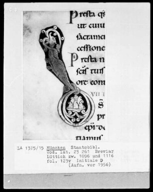 Sakramentar, Folio 208 (Blatt) — ---, Folio 208 (Blatt)Initiale D, Folio 123 verso