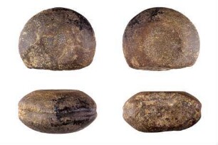 Rillenstein