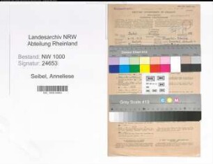 Entnazifizierung Anneliese Seibel, geb. 04.12.1917 (Postangestellte)