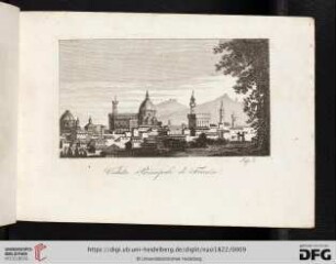 Veduta Principale di Firenze