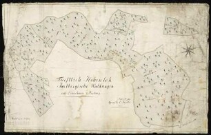 Ermershausen "Fürstlich Hohenloh[e-] Jaxtbergische Waldungen auf Ermershauser Markung"